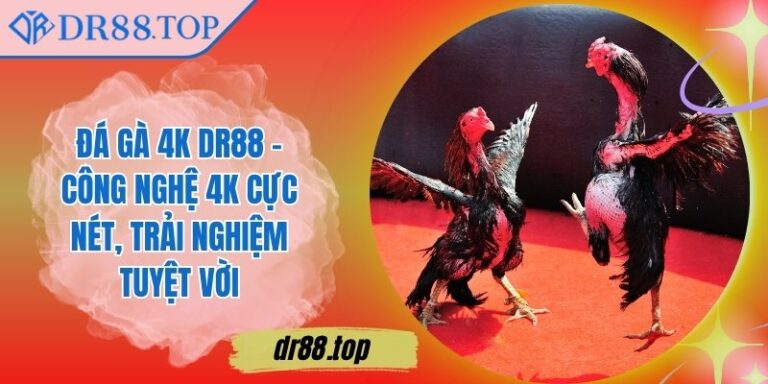 Đá Gà 4K DR88 - Công Nghệ 4K Cực Nét, Trải Nghiệm Tuyệt Vời
