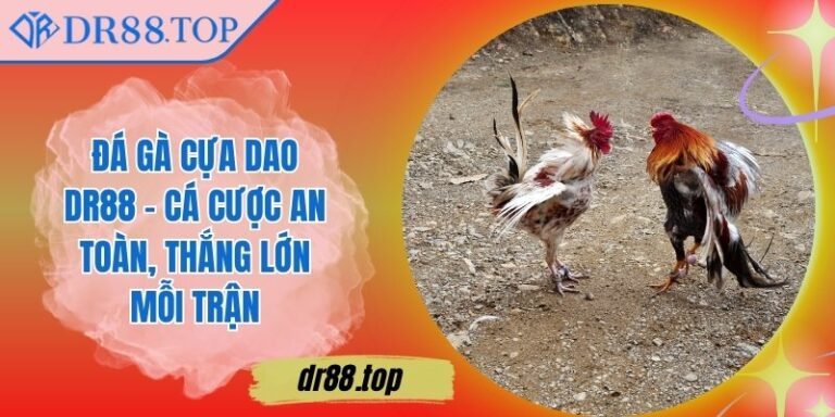 Đá Gà Cựa Dao DR88 - Cá Cược An Toàn, Thắng Lớn Mỗi Trận