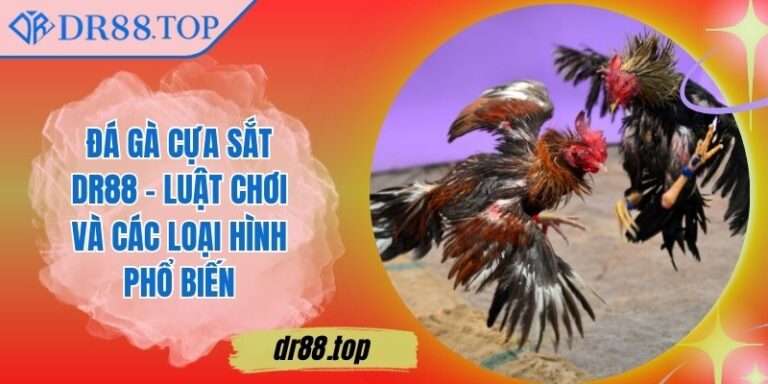 Đá Gà Cựa Sắt DR88 - Luật Chơi Và Các Loại Hình Phổ Biến 1 Đá Gà Cựa Sắt DR88 - Luật Chơi Và Các Loại Hình Phổ Biến