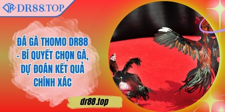 Đá Gà Thomo DR88 - Bí Quyết Chọn Gà, Dự Đoán Kết Quả Chính Xác Đá Gà Thomo DR88 - Bí Quyết Chọn Gà, Dự Đoán Kết Quả Chính Xác