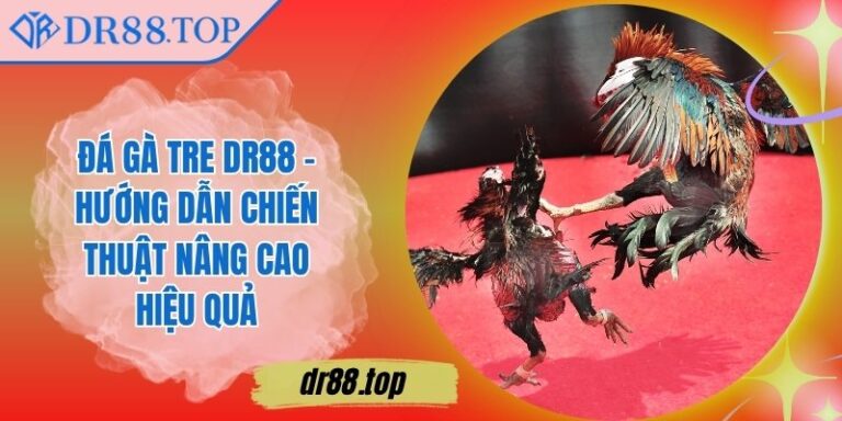 Đá Gà Tre DR88 - Hướng Dẫn Chiến Thuật Nâng Cao Hiệu Quả