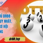 Lô Bạch Thủ DR88 – Chọn Số Duy Nhất, Tối Đa Cơ Hội Trúng