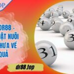 Lô Gan DR88 – Chiến Thuật Nuôi Số Lâu Chưa Về Hiệu Quả
