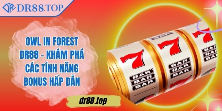 Owl In Forest DR88 - Khám Phá Các Tính Năng Bonus Hấp Dẫn